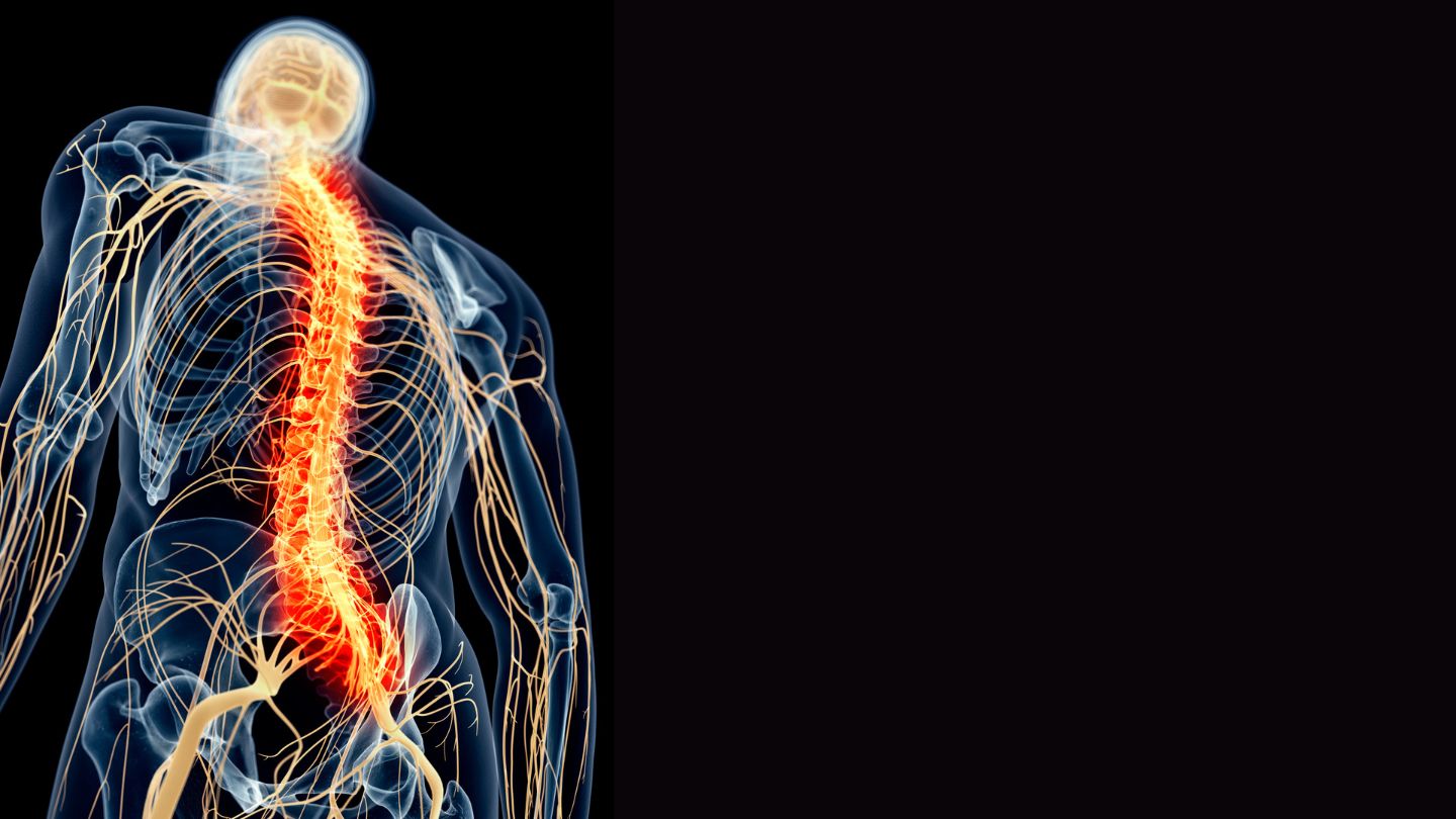 How Long Does Sciatica Last Understanding Sciatic Nerve Pain how-long-does-sciatica-last-understanding-sciatic-nerve-pain